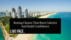 Boxing Classes That Burn Calories and Build Confidence